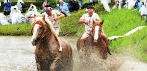 御田祭 | 宮崎県北観光ポータルサイト
